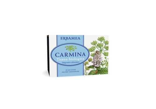 Carmina tisana biologica per la funzione gastro-intestinale 20 bustine filtro monodose