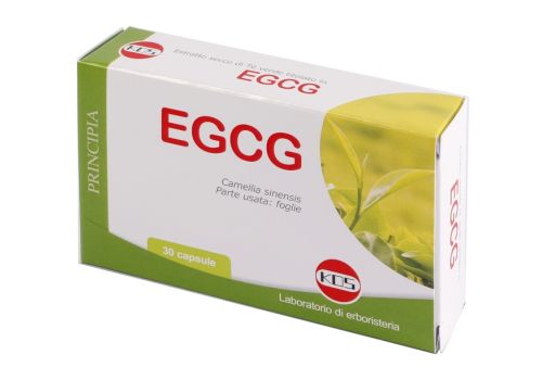 EGCG THE VERDE 30CPS NF