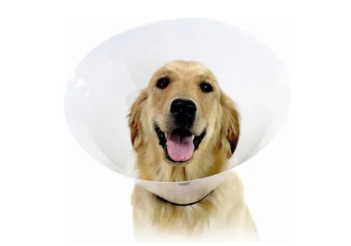 Collare Elisabettiano classico opaco 25cm taglia xl