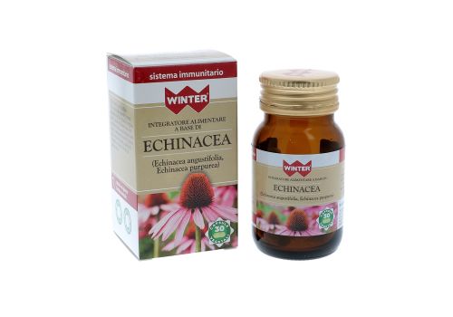 WINTER ECHINACEA 30CPS