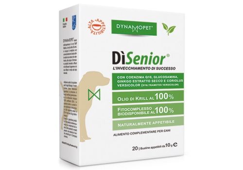 DISENIOR 20BUSTINE 10G