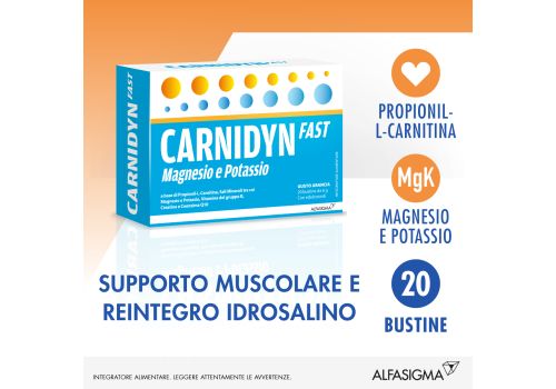 CARNIDYN FAST MAGNESIO E POTASSIO 20BST