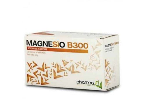 MAGNESIO B 300 30BUST