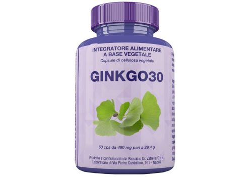 Ginkgo 30 integratore per le funzioni cognitive e la microcircolazione 60 capsule