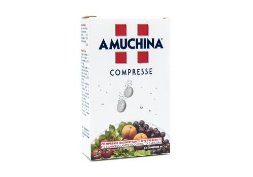 Amuchina compresse disinfettanti effervescenti per il lavaggio antisettico di frutta e verdura 24 pezzi