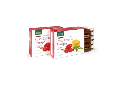 Rosa Canina Energie integratore energizzante e per il sistema immunitario 10 ampolle bevibili x 10ml