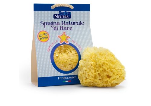 Baby Neutra spugna marina naturale per la detersione delicata della pelle dei bambini 12-48 mesi 1 pezzo