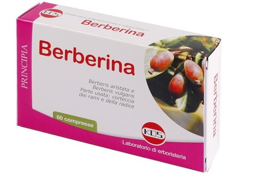 BERBERINA ESTRATTO SECCO 60CPR