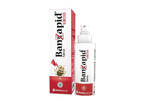 BANZAPID SPR TRATTAMENTO 100ML