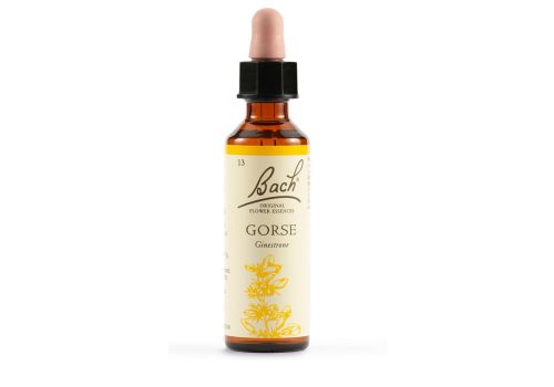 Gorse Ginestrone fiori di Back Original gocce orali 20ml