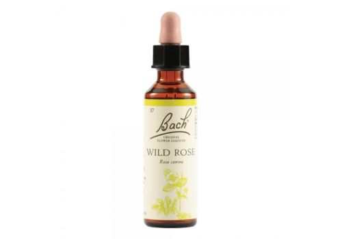 Wild Rose Fiori di Bach 20ml