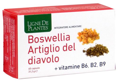 Boswellia Artiglio del Diavolo integratore per la funzione articolare 60 capsule