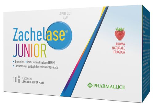 ZACHELASE JUNIOR 10FL 10ML