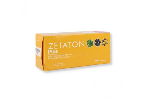ZETATON PLUS 12FX10ML