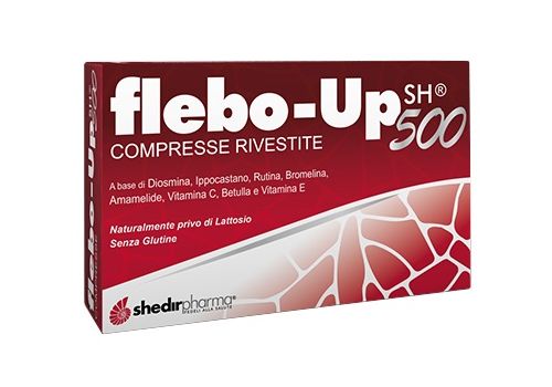 FLEBO-UP SH 500 30CPR