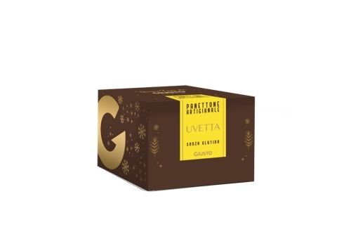 Giusto Senza Glutine panettone artigianale con uvetta 600 grammi