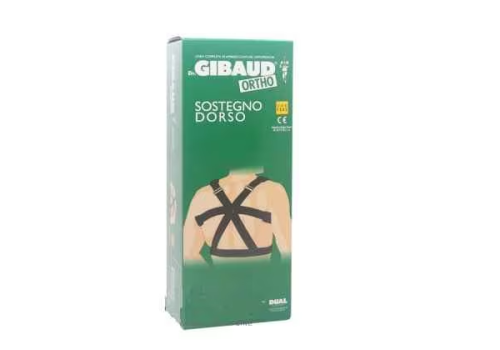 Gibaud Ortho sostegno dorso taglia 2