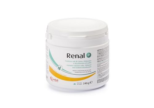 Renal P mangime complementare per la funzione urinaria di cani e gatti polvere appetibile 240 grammi