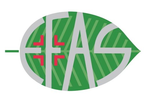 Argan100 olio puro di Argan aromatizzato 60ml