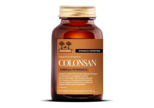 Colonsan integratore per lo stomaco e l'intestino 60 compresse