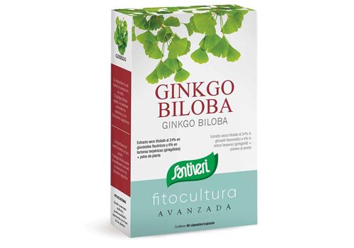 Ginko Biloba integratore per la memoria 40 capsule