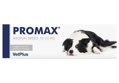 Promax Medium Breed mangime complementare per la funzione intestinale del cane pasta appetibile in siringa 18ml