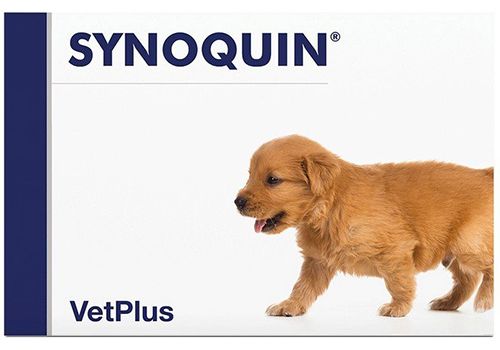 Synoquin Growth mangime complementare per la crescita dei cuccioli di cane  60 compresse