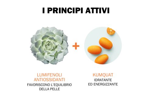 Jowae Crema Maschera Viso Idratante Energizzante Rigenerante Notte 40 ml