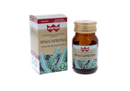 WINTER SPACCAPIETRA 30CPR