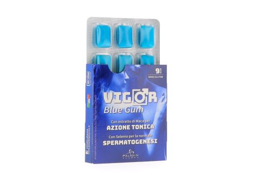 VIGOR BLUE 9GUM