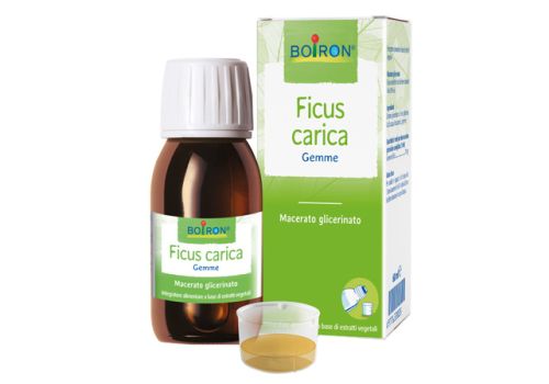 Ficus Carica gemme benessere intestinale macerato glicerinato 60ml