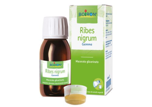 RIBES NIGRUM BOI MG 60ML INT