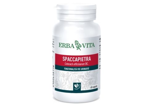 Spaccapietra integratore per il benessere delle vie urinarie 60 capsule