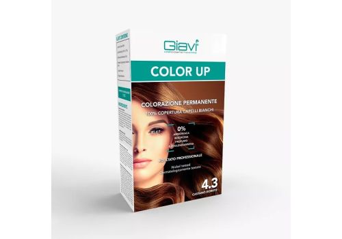 GIAVI' COLOR UP 4.3 CASTANO DORATO