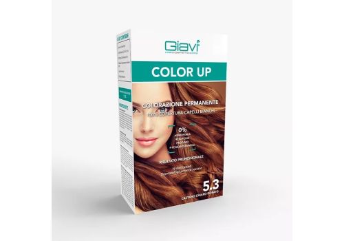 GIAVI' COLOR UP 5.3 CASTANO CHIARO DORATO