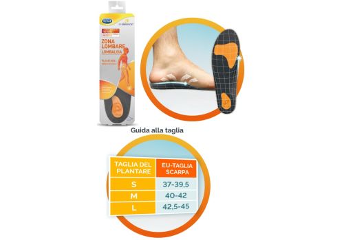 SCHOLL PLANTARE LOMBARE L 2PZ