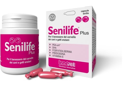 Senilife Plus mangime complementare per il benessere del cervello di cani e gatti anziani 60 capsule birillo