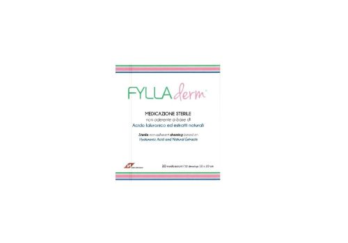 Fylladerm medicazione con acido ialuronico 10 x 10cm 10 pezzi