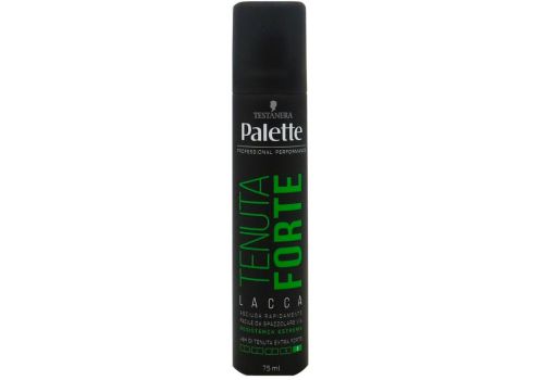 Palette Lacca Strong Hold Tenuta Forte 75ml