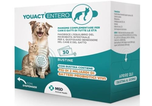 Youact Entero mangime complementare per l'equilibrio del microbota intestinale di cani e gatti 30 bustine