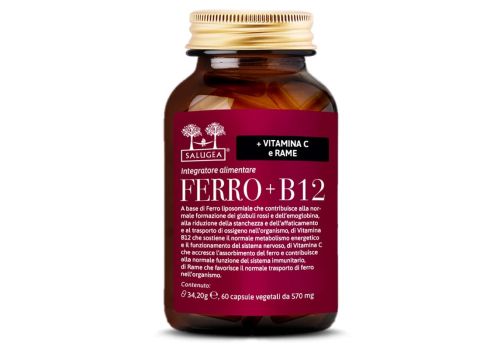 Ferro + B 12 integratore di vitamine e minerali 60 capsule