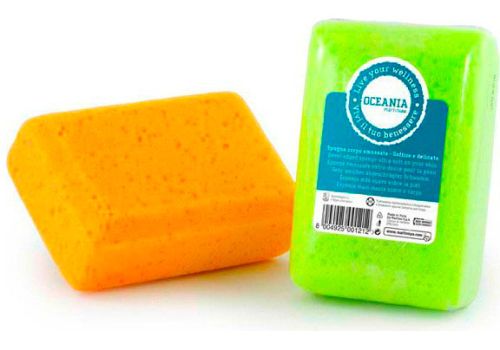 Oceania Spugna Smussata