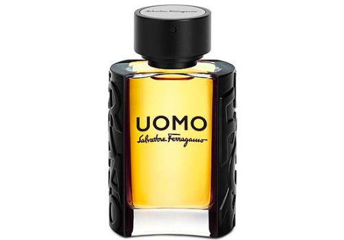 Ferragamo Uomo eau de toilette natural spray 100ml