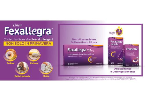 Banner promo-fexallegra